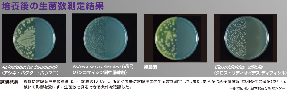 培養後の生菌数測定結果